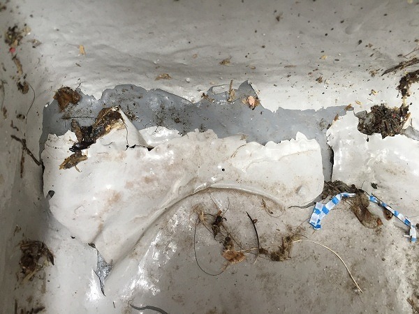 原因はトップコートのみの施工